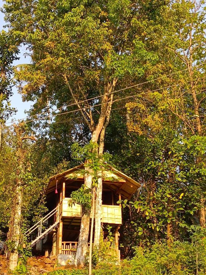 Fab - Bamboo Hut With Open Shower Munnar Zewnętrze zdjęcie